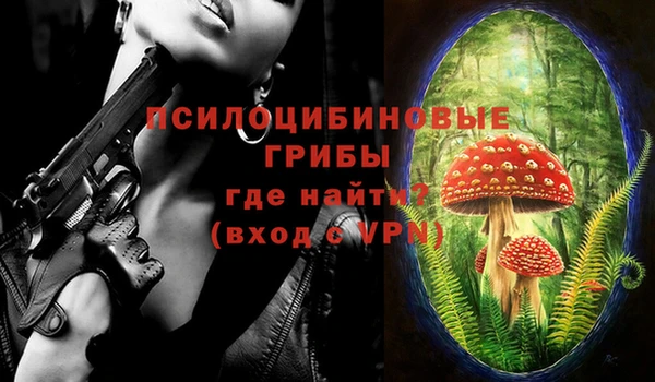трава Беломорск