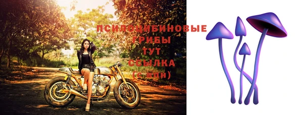 ECSTASY Белокуриха