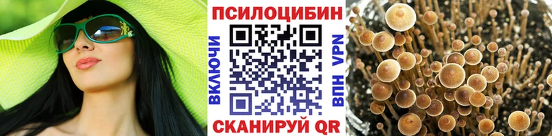 Псилоцибиновые грибы GOLDEN TEACHER  купить закладку  Пятигорск 